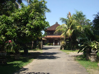 Bali Dewisri